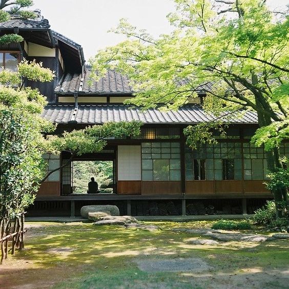 Konsep Rumah Jepang Banyak Pepohonan